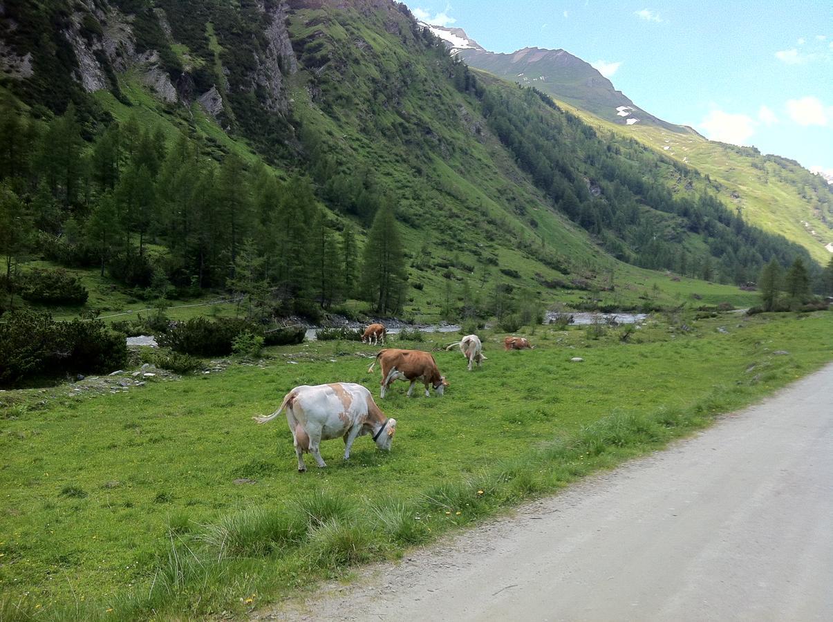 Scol Sporthotel Grossglockner Kals-am Großglockner Εξωτερικό φωτογραφία
